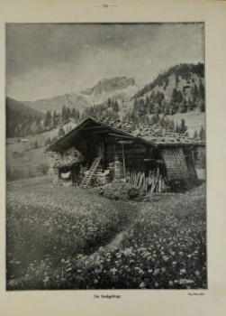 1917 - alter Druck - Im Hochgebirge